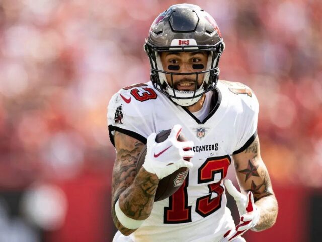 What Were the Highlights of Mike Evans's Collegiate Career?